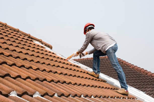 Best Roof Ventilation Installation  in West Columbia, SC