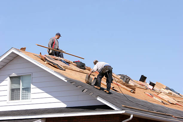 Best Solar Panel Roofing Installation  in West Columbia, SC