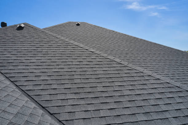 Best Roof Maintenance and Cleaning  in West Columbia, SC